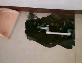 木垒哈萨克卫生间测漏水多少钱